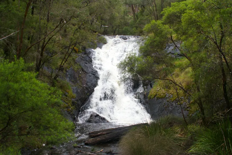 Beedelup Falls near Pemberton